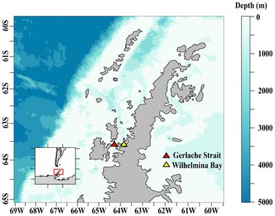 The <mark class="highlighted">energetic cost</mark> of early reproductive development in juvenile Antarctic krill at the Western Antarctic Peninsula